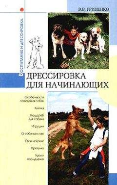 Владимир Гриценко - Дрессировка для начинающих