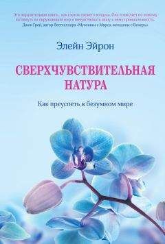 Элейн Эйрон - Сверхчувствительная натура. Как преуспеть в безумном мире