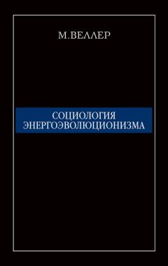 Михаил Веллер - Социология энергоэволюционизма