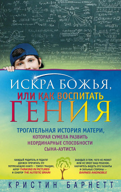 Искра Божья, или Как воспитать гения - Барнетт Кристин